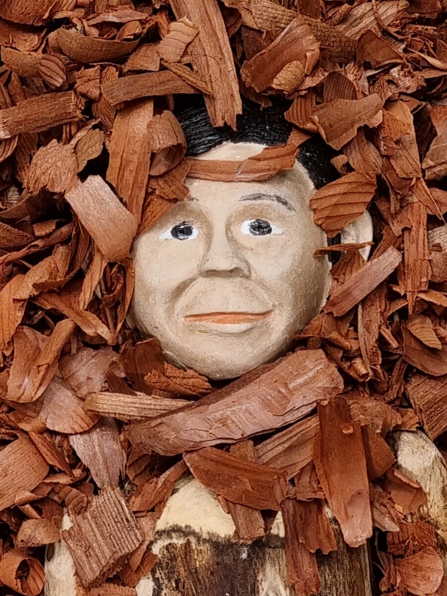 20220326_130650.jpg