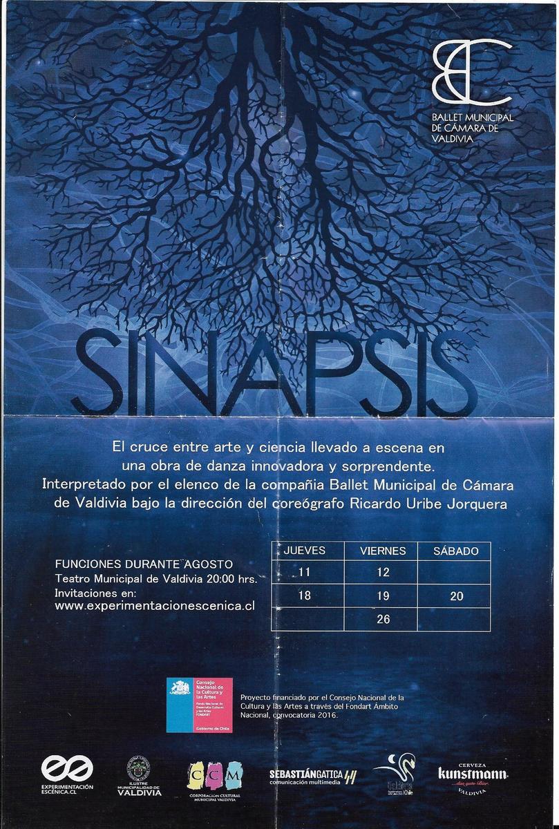 10. folleto plegable Sinapsis_0004.jpg