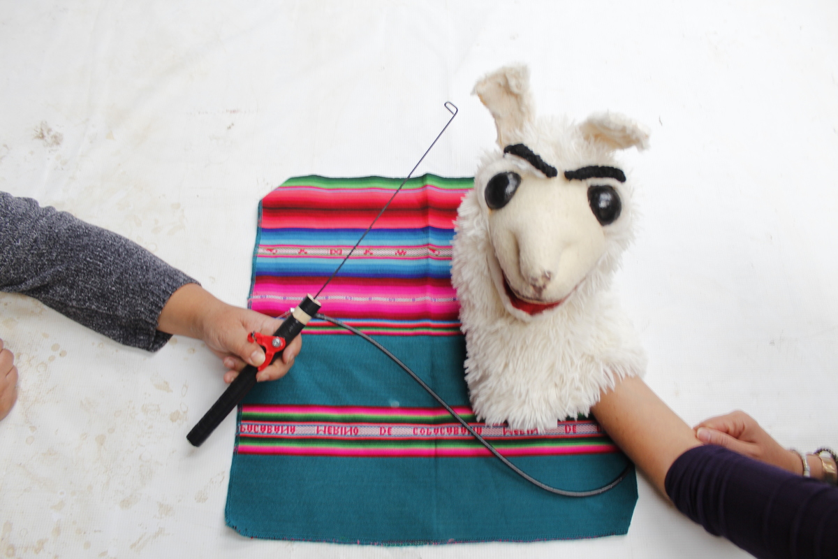 alpaca última obra.JPG