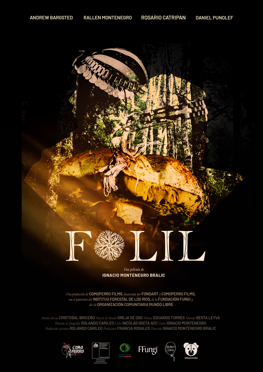 FOLIL Afiche_V2.jpg