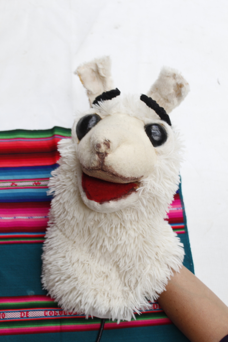 alpaca ultima obra.JPG